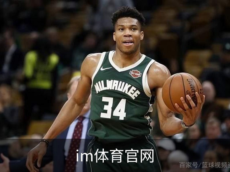 im体育官网介绍